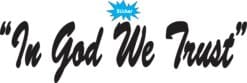 10in x 2.5in Black Cursive In God We Trust Sticker Vinyl Vehicle
