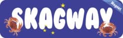 10in x 3in Skagway Magnet Vinyl Alaska Flag Car Magnets