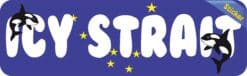 10in x 3in Icy Strait Bumper Sticker Alaska Flag Decal Vehicle Stickers