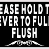 Please Hold the Lever to Fully Flush Sticker