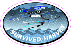 Oval I Survived Harvey Sticker