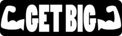 Get Big Bumper Magnet