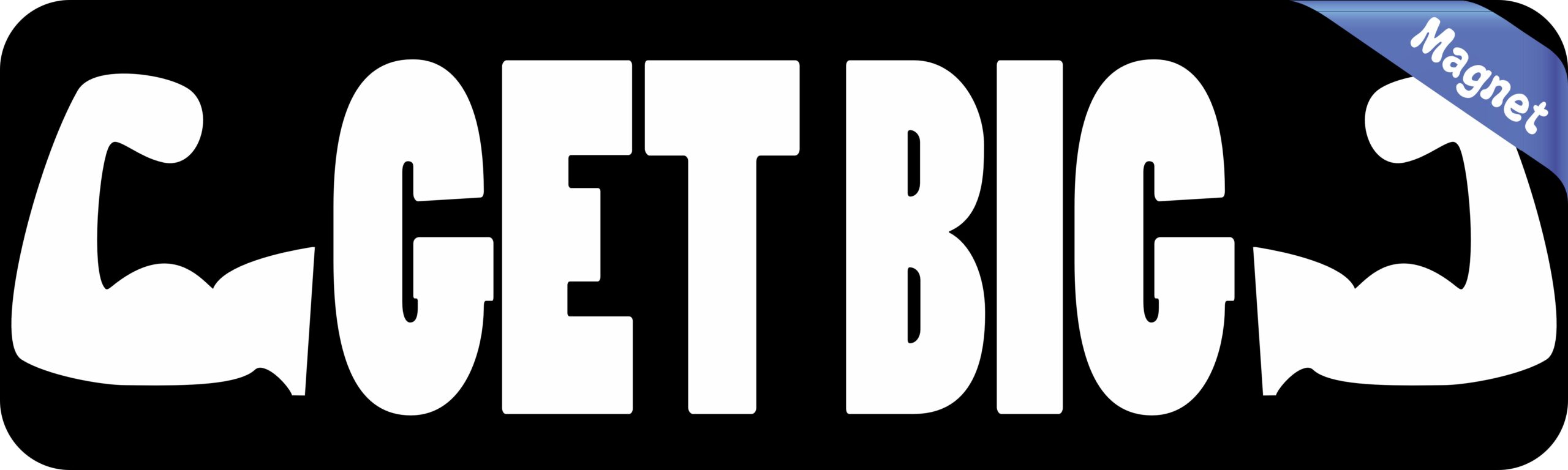 10in x 3in Get Big Bumper Magnet Vinyl Magnetic Sports Fitness Magnets