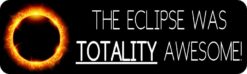 The Eclipse Was Totality Awesome Magnet