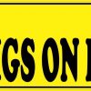 Mini Pigs on Board Bumper Sticker