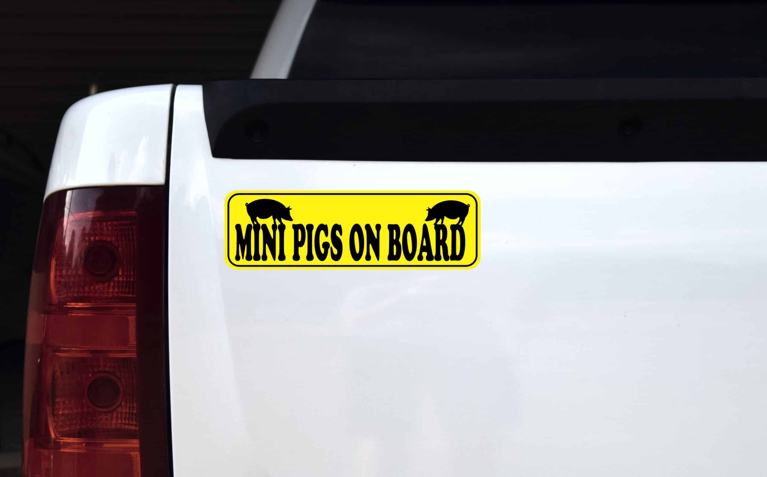 10inx3in Mini Pigs on Board Bumper Sticker Vinyl Pet Animal Vehicle Decal