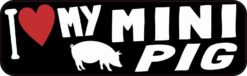 I Love My Mini Pig Bumper Sticker