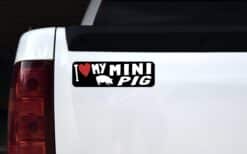 10in x 3in I Love My Mini Pig Bumper Sticker Vinyl Animal Vehicle Stickers