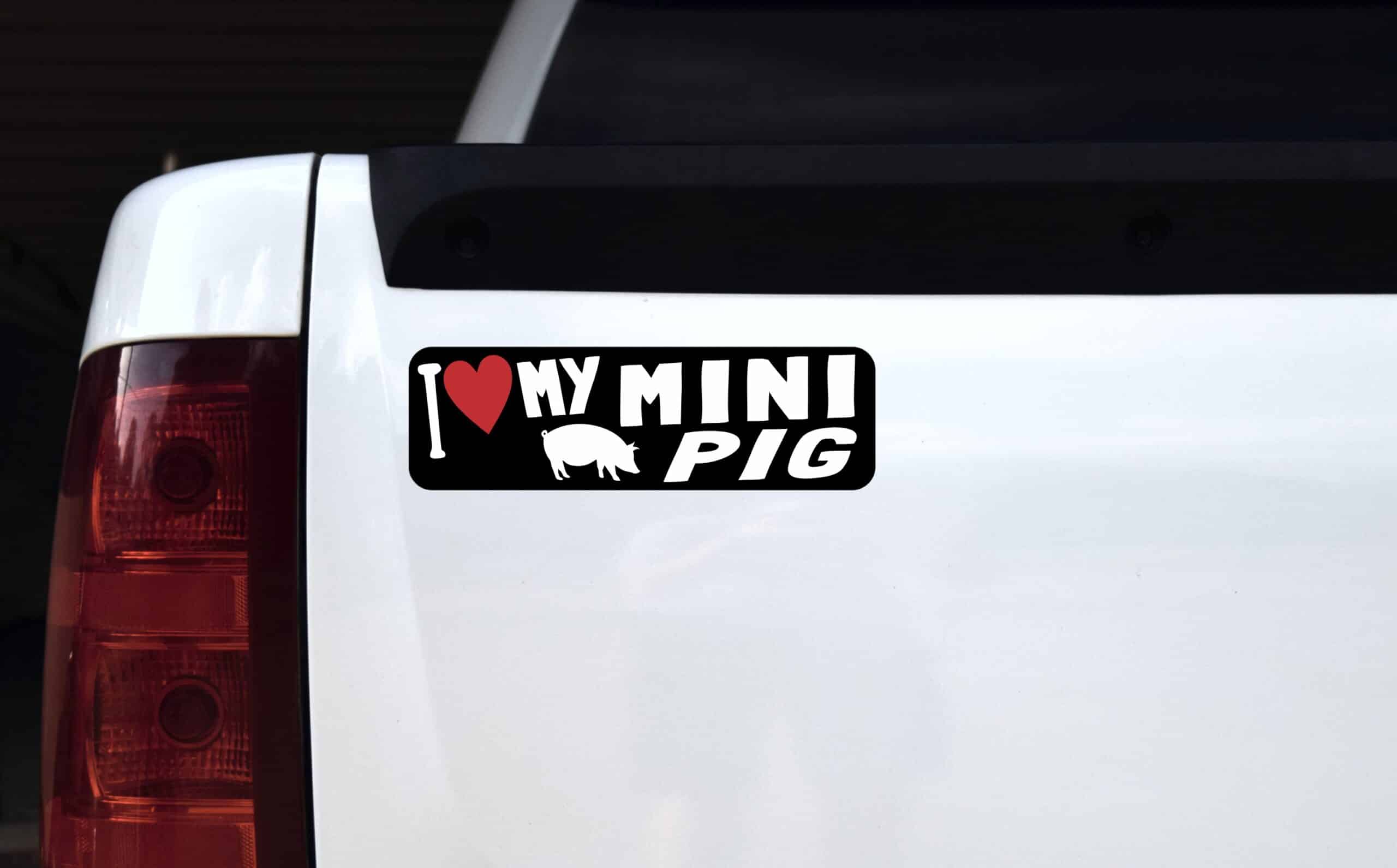 10in x 3in I Love My Mini Pig Bumper Sticker Vinyl Animal Vehicle Stickers