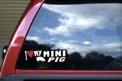 10in x 3in I Love My Mini Pig Bumper Sticker Vinyl Animal Vehicle Stickers
