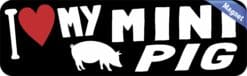 10inx3in I Love My Mini Pig Magnet Vinyl Pet Animal Vehicle Bumper Magnets