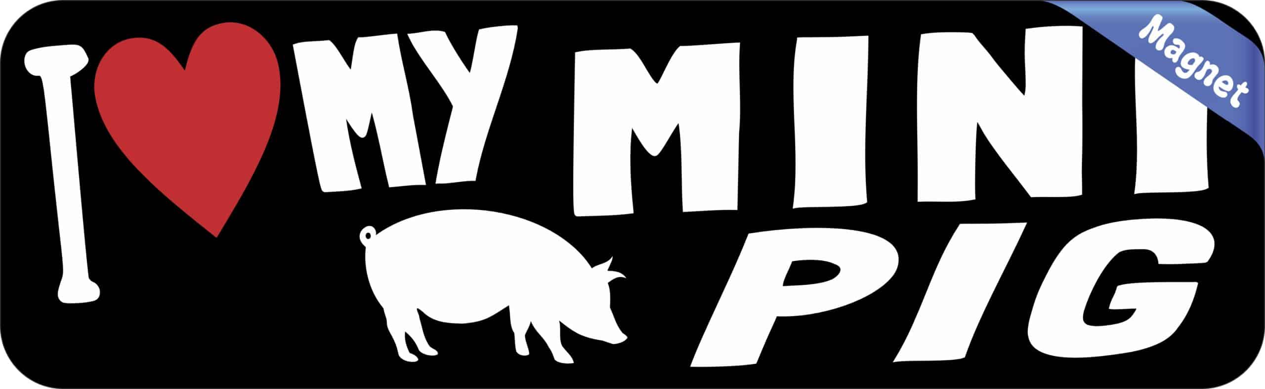 10inx3in I Love My Mini Pig Magnet Vinyl Pet Animal Vehicle Bumper Magnets