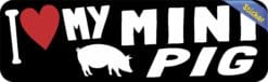 10in x 3in I Love My Mini Pig Bumper Sticker Vinyl Animal Vehicle Stickers