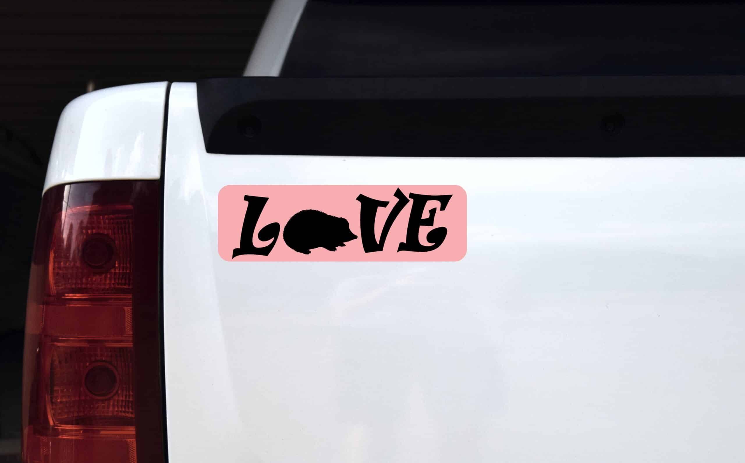 10inx3in Love Hedgehog Bumper Sticker Vinyl Pet Animal Decal Car Stickers