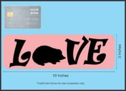 10in x 3in Love Hedgehog Magnet Vinyl Magnetic Pet Animal Vehicl