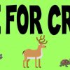 I Brake For Critters Magnet