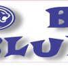 In-Text Cougar Go Big Blue Magnet
