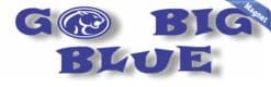 10x3 In-Text Cougar Go Big Blue Magnet Vinyl School Mascot Bumper Magnets