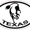 Oval Longhorn Texas Sticker