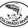 Oval Trout Colorado River Sticker
