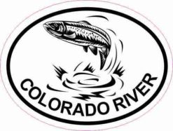 Oval Trout Colorado River Sticker
