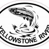 Oval Trout Yellowstone River Sticker