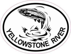 Oval Trout Yellowstone River Sticker