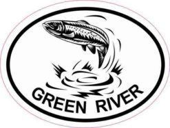 Oval Trout Green River Sticker