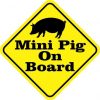 Mini Pig On Board Sticker