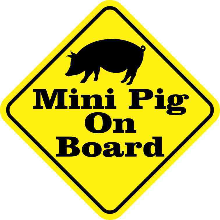 Mini Pig On Board Sticker