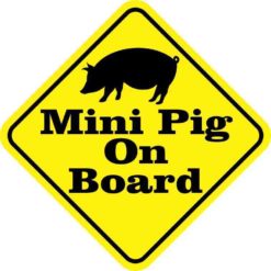 Mini Pig On Board Magnet