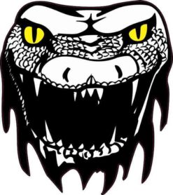 Yellow Eyes Snake Head Sticker
