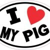 I Love My Pig Sticker