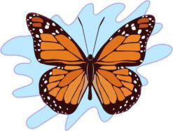 StickerTalk 5in x 3.5in Bright Orange Butterfly Sticker Vinyl Vehicle Animal Stickers