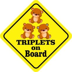 Two Girls One Boy Triplets on Board Magnet