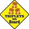 Two Girls One Boy Triplets on Board Sticker