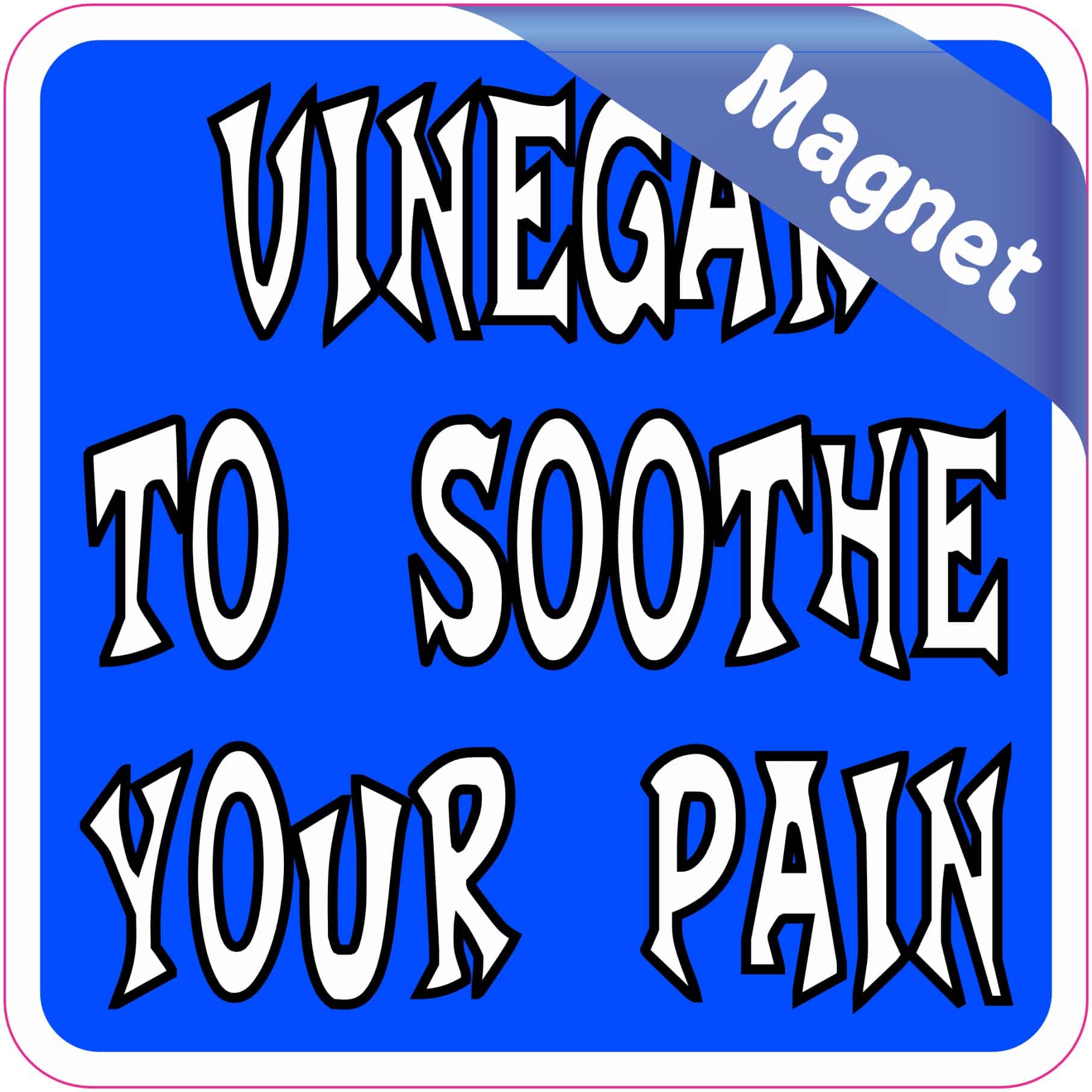 3in x 3in Vinegar to Soothe Your Pain Magnet Vinyl Magnetic Sign Magnets - Image 2