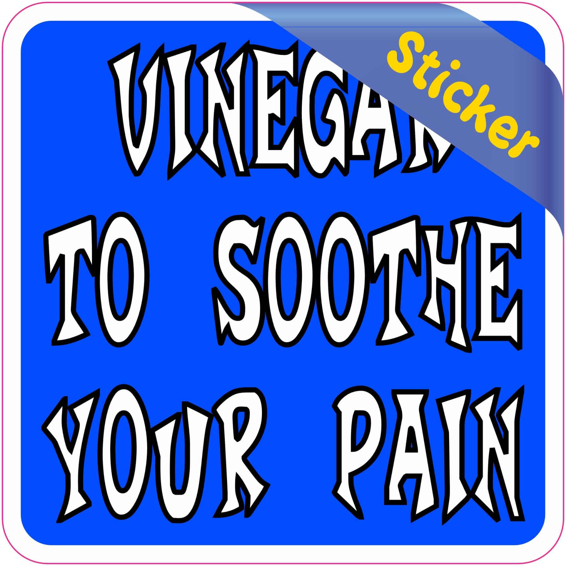 3in x 3in Vinegar to Soothe Your Pain Sticker Vinyl Sign Decal Stickers - Image 2