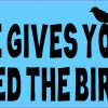 When Life Gives You Crumbs Feed the Birds Magnet