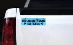 10 x 3 When Life Gives You Crumbs Feed the Birds Bumper Sticker Car Decal