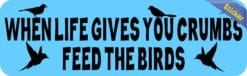 10 x 3 When Life Gives You Crumbs Feed the Birds Bumper Sticker Car Decal