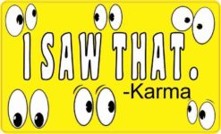 I Saw That Karma Magnet