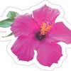 Pink Hibiscus Sticker