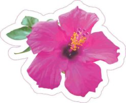 Pink Hibiscus Sticker