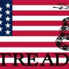 American Flag Dont Tread on Me Sticker