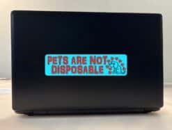 8in x 2in Pets Are Not Disposable Sticker
