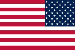 Mirrored United States Flag