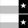 texas flag sticker