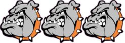 Orange Collared Bulldog Mascot Stickers