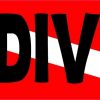 Dive Flag No Diving Magnet